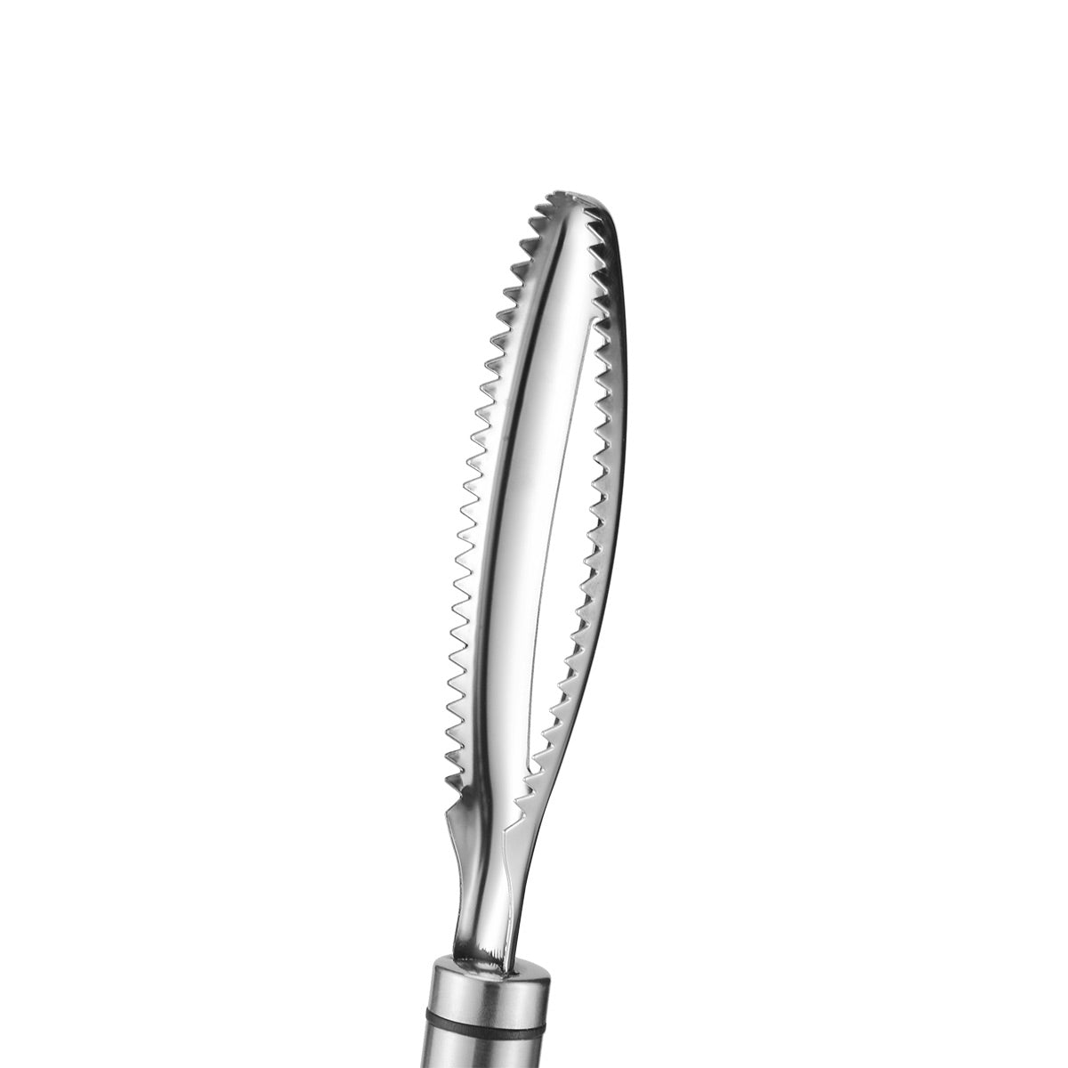 Stainless Steel Fish Scaler