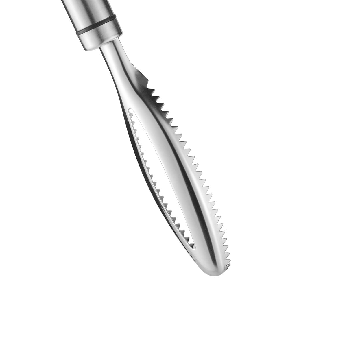 Stainless Steel Fish Scaler