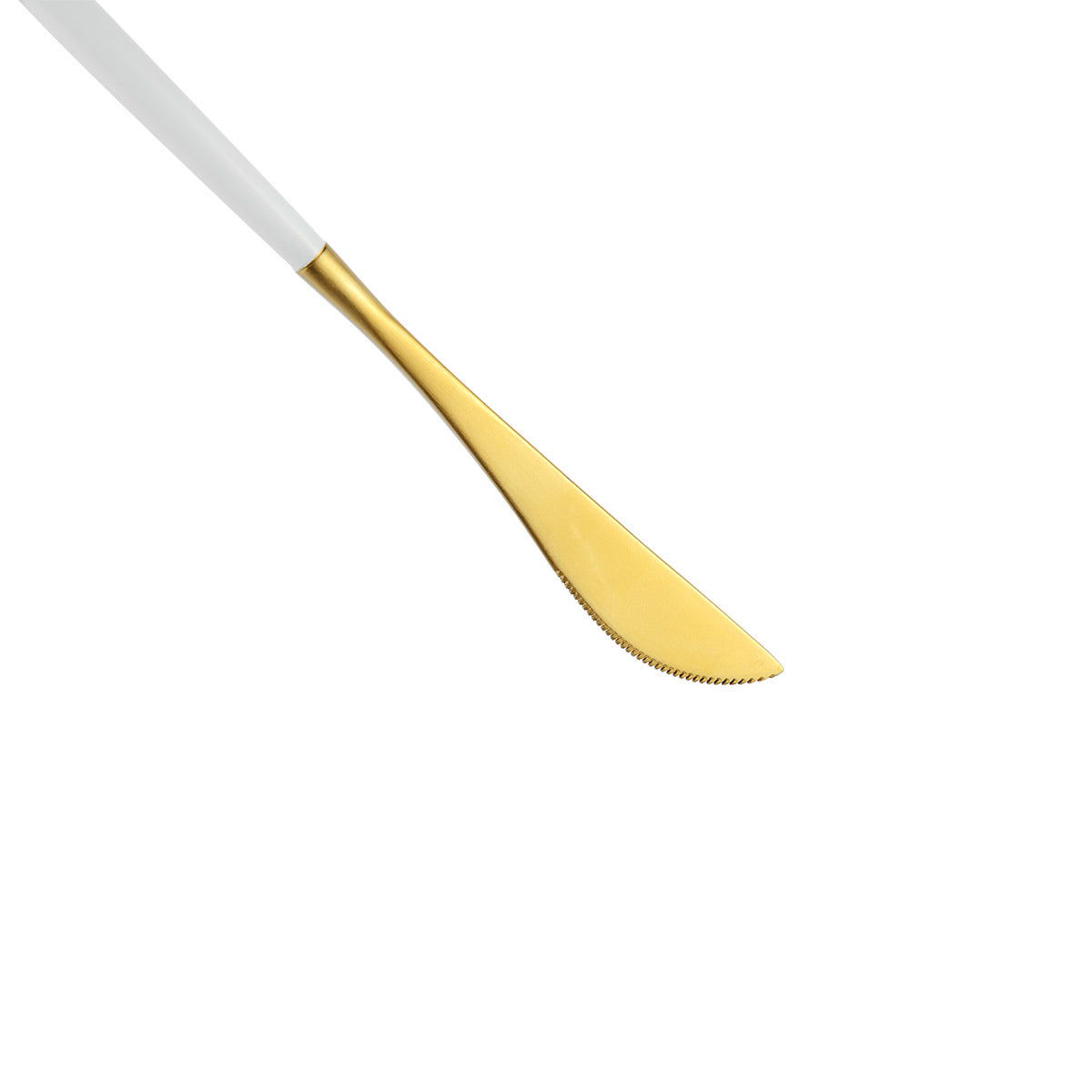 Renata Stainless Steel Dinner Knife