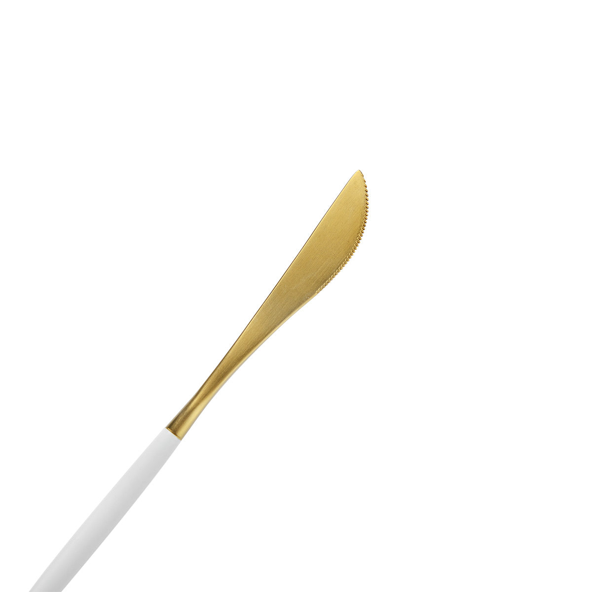 Renata Stainless Steel Dinner Knife