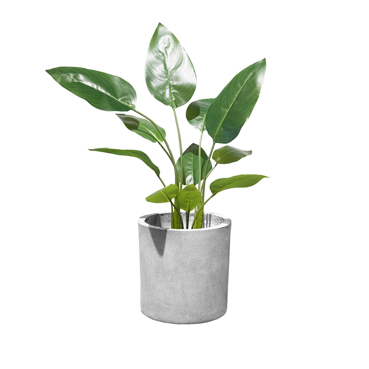 Round Cement Planter